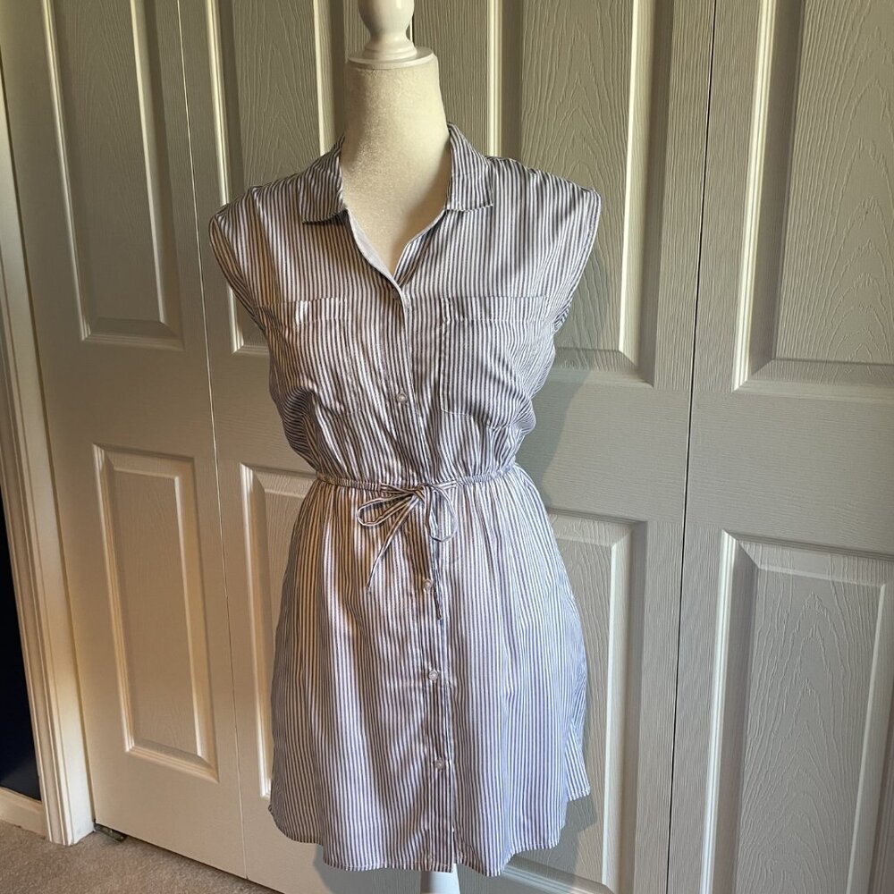 Japna Shirt Dress Womens Size Small Blue White Striped Sleeveless Lined NWT